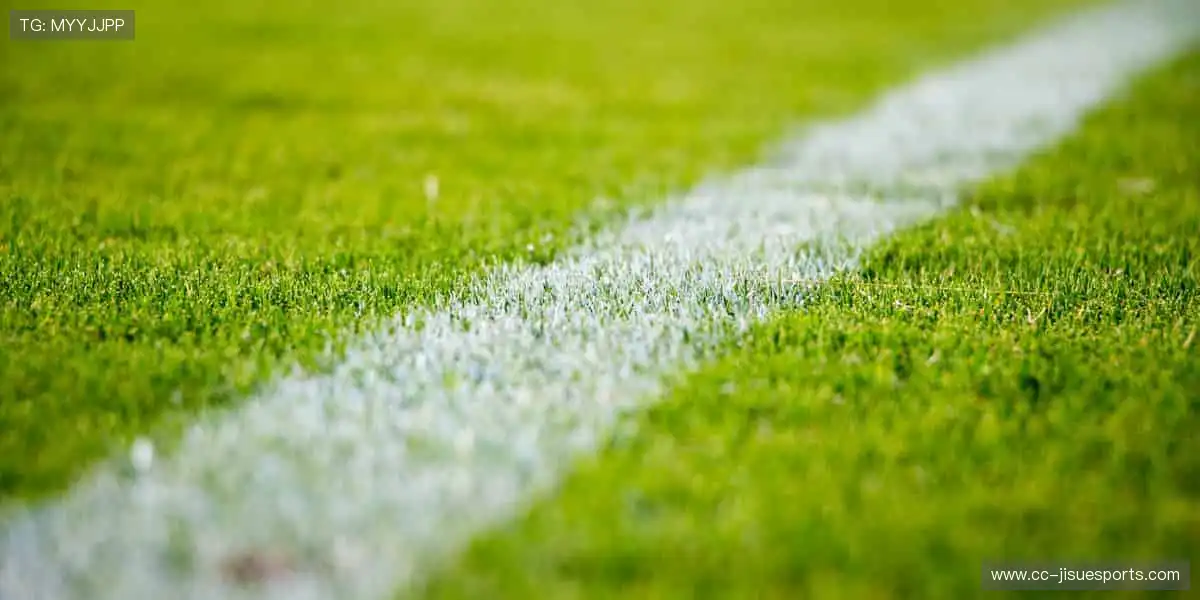 随时随地,直击赛场!📱🎯